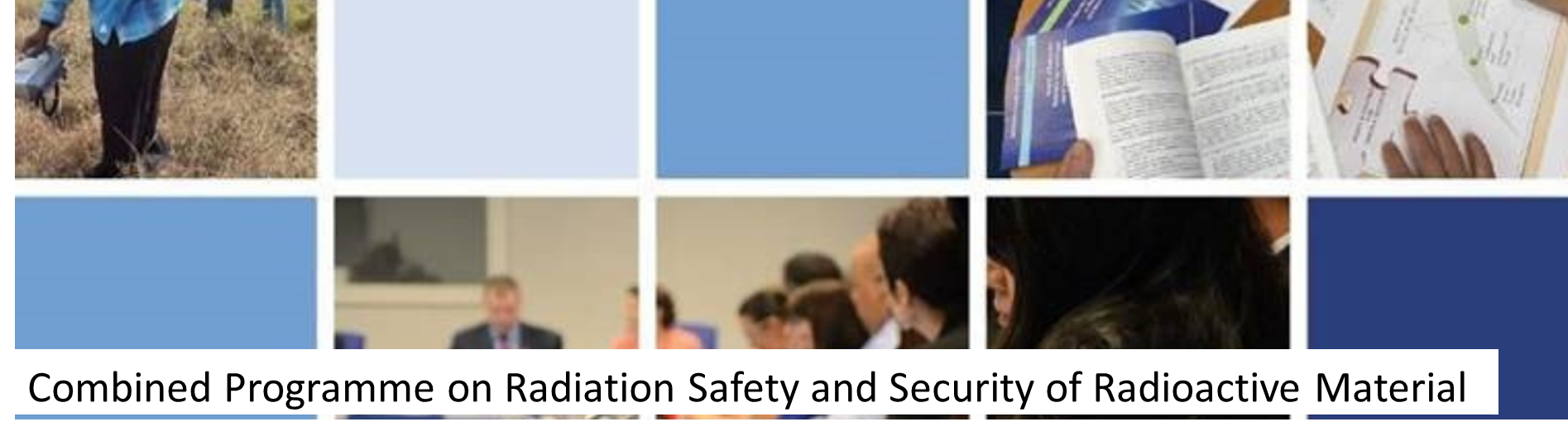 International Virtual School of Drafting Regulations on Radiation Safety