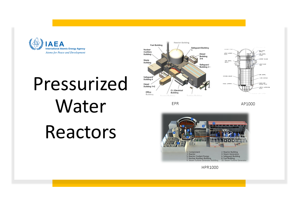 Pressurized Water Reactors
