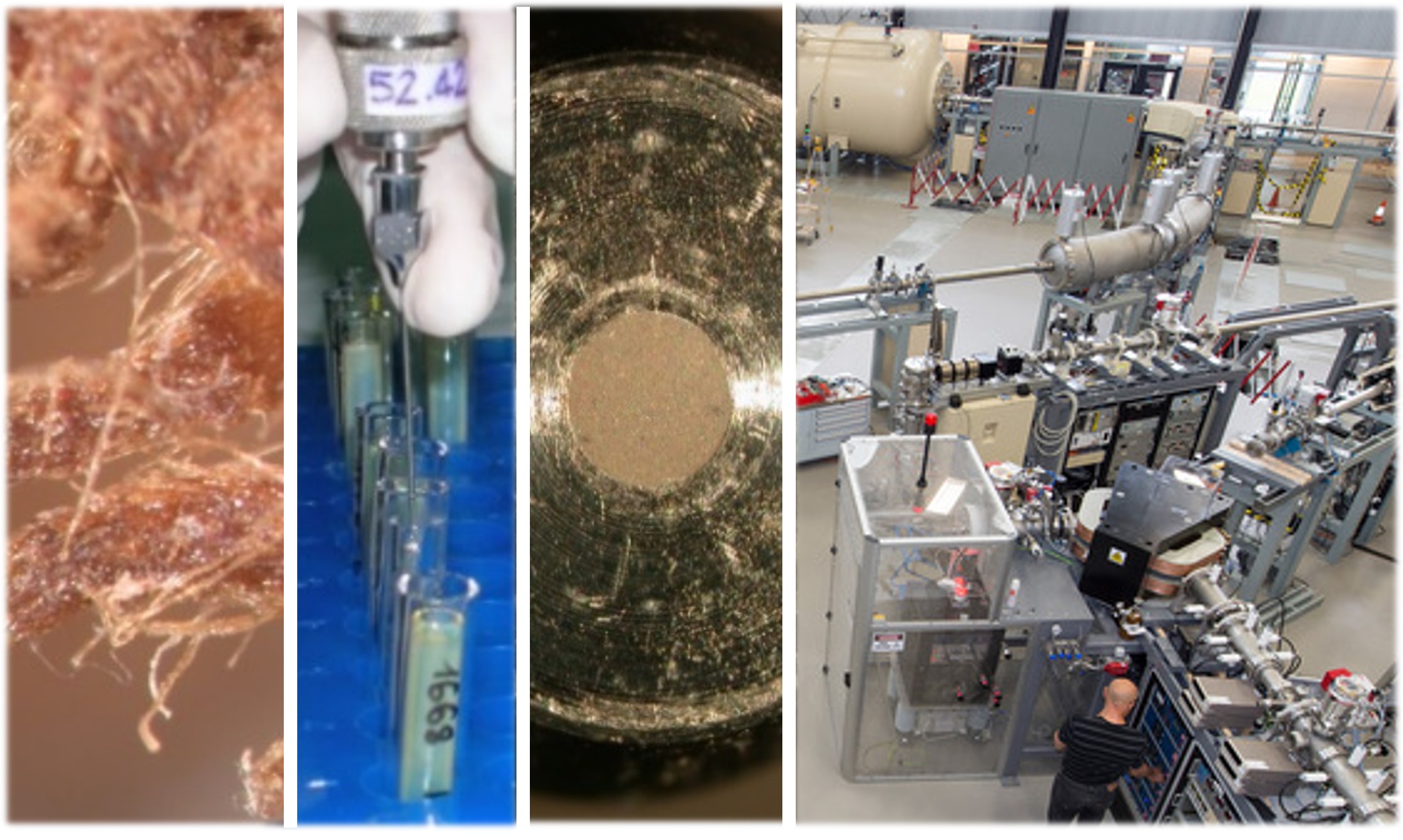 Accelerator Mass Spectrometry Radiocarbon Dating for Heritage and Forensic Science