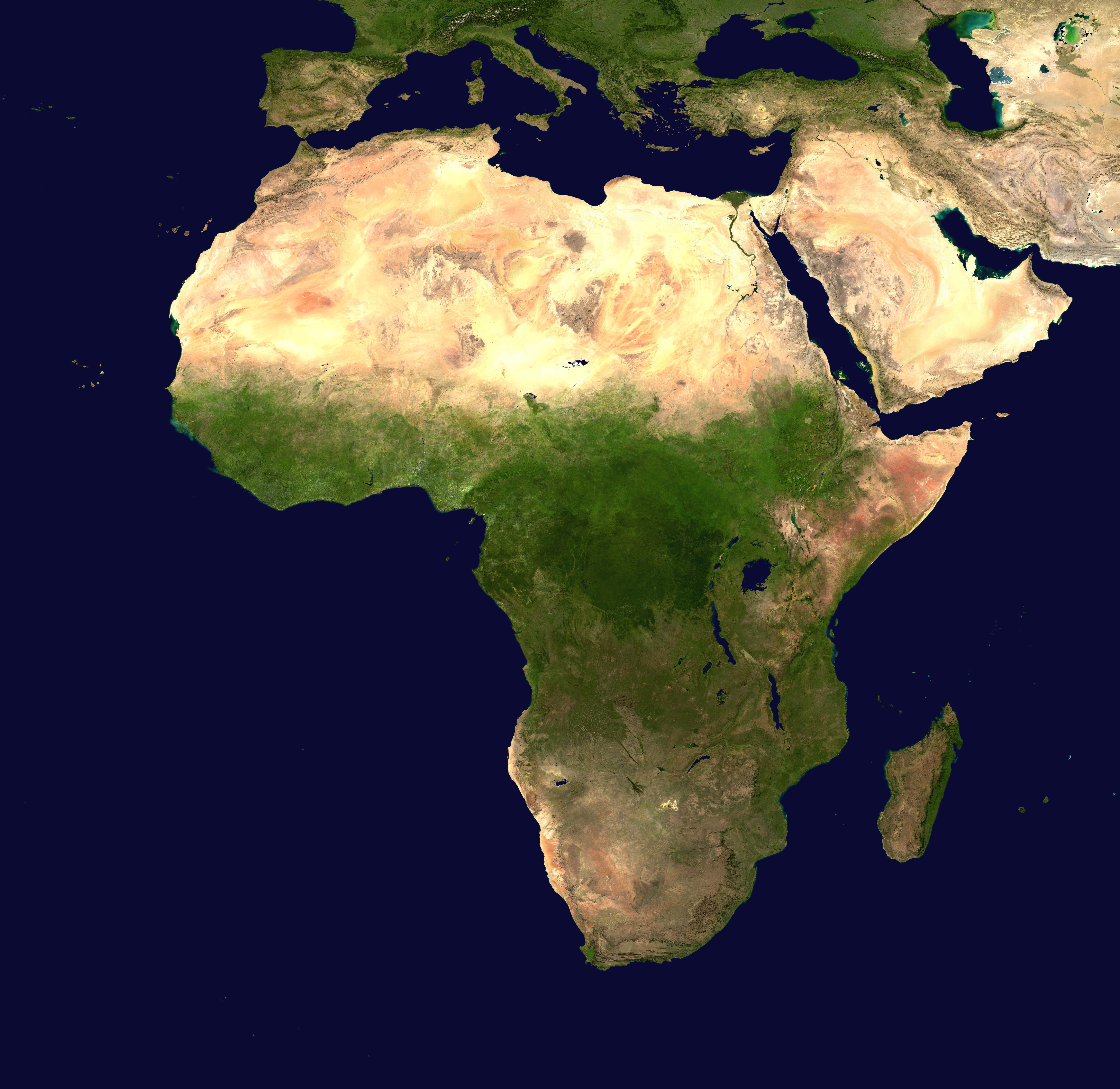 African Regional Programme Counterpart Questionnaire 2024