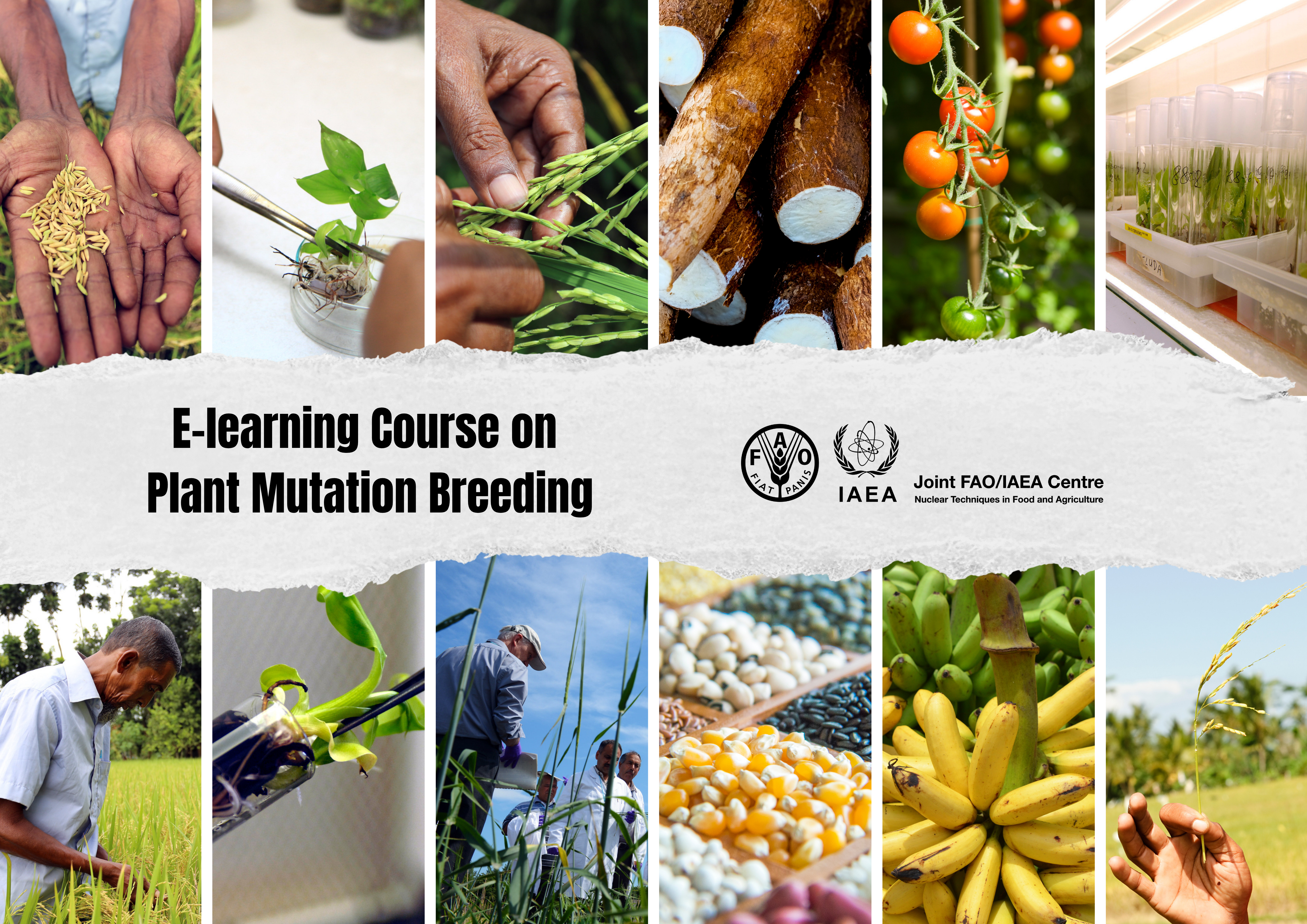 Online E-learning Course on Plant Mutation Breeding