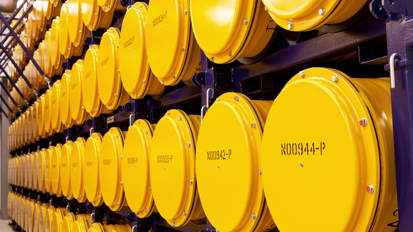 Ensuring Safety in Radioactive Waste Management: From Predisposal to Disposal