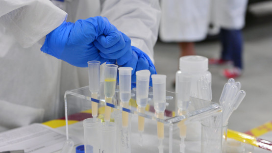 Webinar on the First Week of a Nuclear Forensic Examination