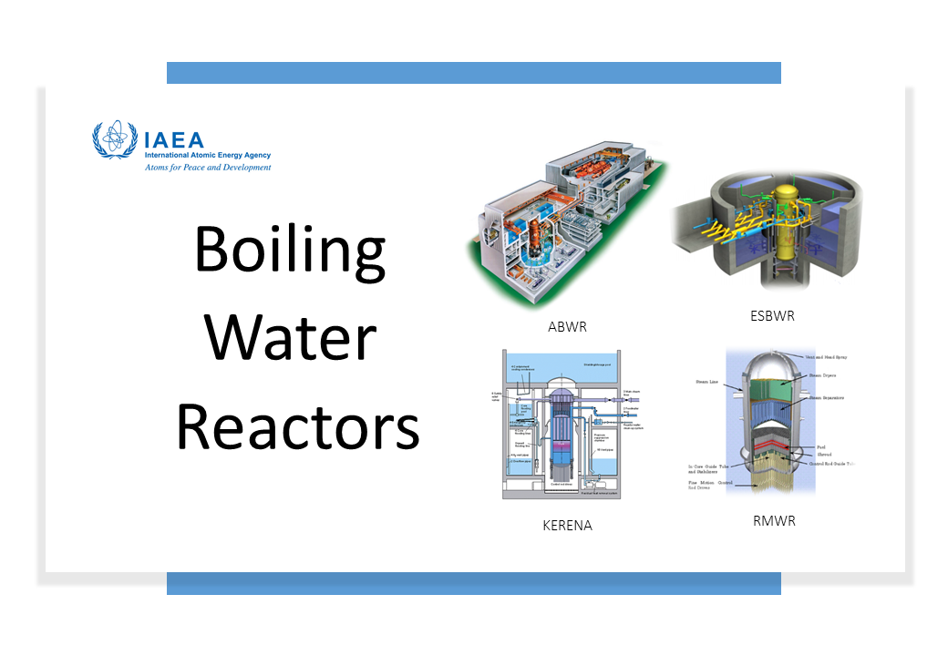 Boiling Water Reactors: An Introduction to History, Advanced Designs, and Global Deployment